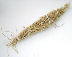 Patchouli Root