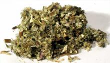 Mugwort Cut