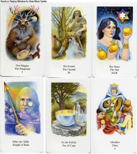 Tarot Of Northern Shadows Deck