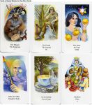 Tarot Of Northern Shadows Deck/book Set