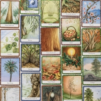 The Wisdom Of Trees Oracle