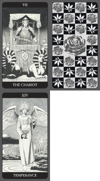 Dark Side Of Tarot Kit