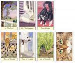 Cat's Eye Tarot