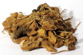 Solomon Seal Root Cut