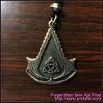 The Assassins Shield