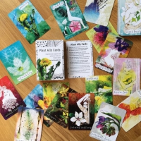 Plant Ally Healing Cards