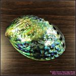 Abalone Shell Burner