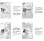 浪漫天使指引卡(第二版) (Romance Angels Oracle Cards)