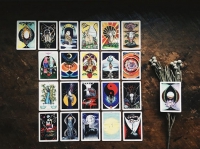 Circle - Inner Animal Tarot (內在動物塔羅)