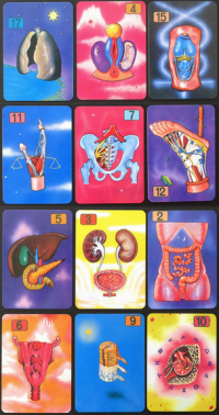 Dr. Shigeki Gomi Fantastic Medical Tarot