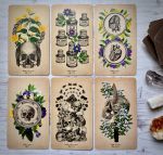The Antique Anatomy Tarot Kit