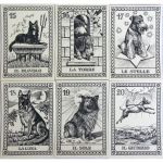 I Cani Del Mondo Tarot (Dogs Tarot)