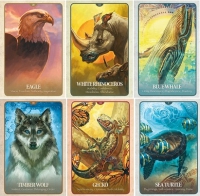 The Secret Language of Animals : Endangered Voices of Mother Earth