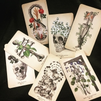 The Modern Tarot Reader