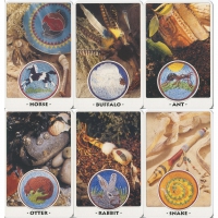 White Eagle Medicine Wheel : Native American Wisdom As A Way Of Life