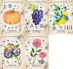 Green Witch Oracle Cards : Discover real secrets of Botanical Magick