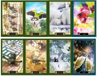 大維老師紫微牌陣一翻就上手【新修珍藏版】內含書＋專屬開運紫微牌