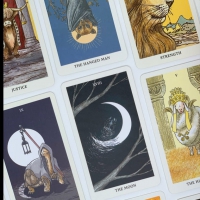 Into The Wild Tarot & Oracle Deck