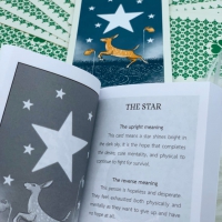 Into The Wild Tarot & Oracle Deck