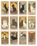 Cats Rule The Earth Tarot