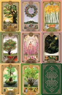 歐甘樹文神喻卡-新生版 (Ogham:the Sacred Tree Oracle)
