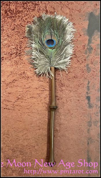 Peacock & Ostrich Feather