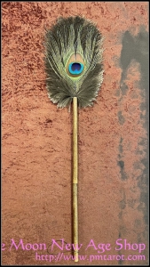 Peacock & Ostrich Feather