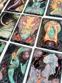 The Mermaid’s Purse Oracle