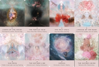 The Rose Pocket Oracle