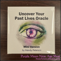 Mini Version (-$200)