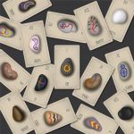 The Witch's Runes Divination Deck