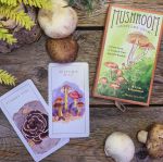 Mushroom Spotter's Deck: A Field Guide To Fungi & Their Age-Old Wisdom