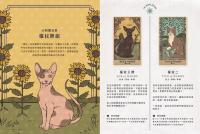 神祕喵星塔羅牌：給貓奴的78張塔羅牌與說明冊 (Cats Rule The Earth Tarot: 78 Card Deck And Guidebook For The Feline-Obsessed)