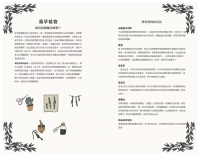 新手魔法手冊：藥草、水晶、儀式、占卜、塔羅⋯⋯你的第一本靈性指引 (MÁgicas: Guía Ilustrada De Magia)