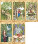 凱爾特聖樹神諭卡【精裝書盒版】：連結大地之靈，歐甘樹文的魔法力量（25張牌卡＋解說手冊＋絨布束口袋）(Voice Of The Trees: A Celtic Divination Oracle)